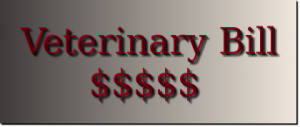 Care Credit For Pets--Veterinary Financing