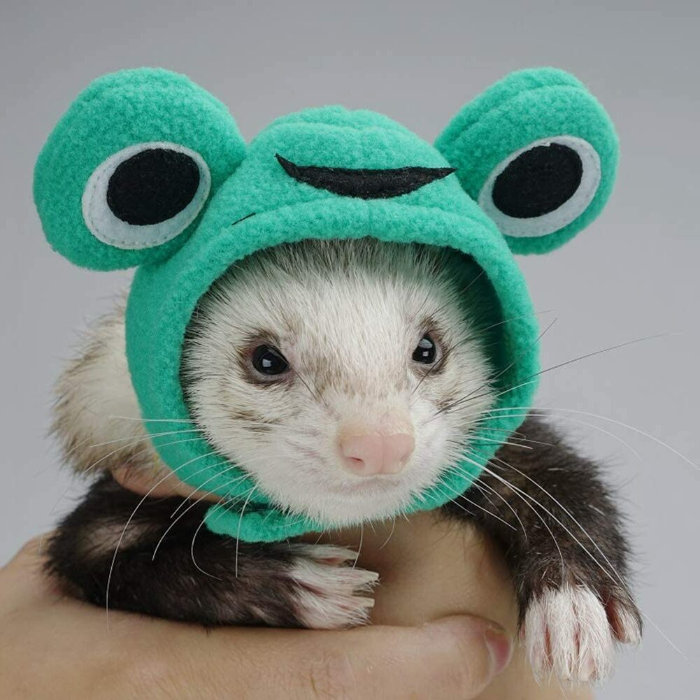 Halloween Ferret Costume Hats