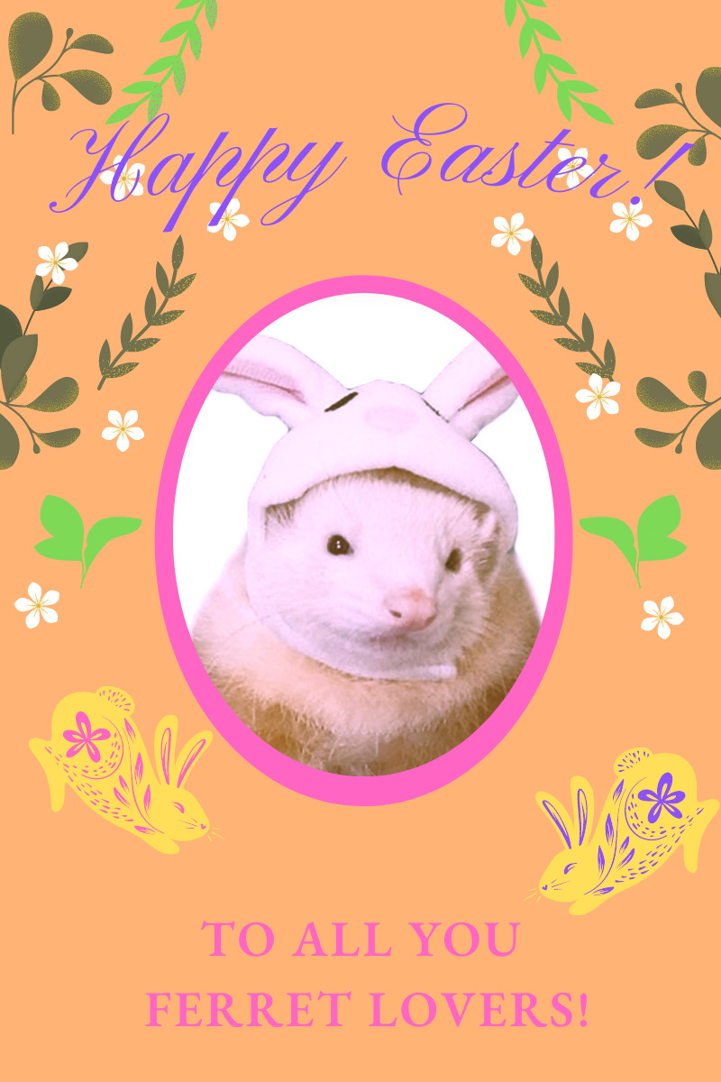 Easter ferrets