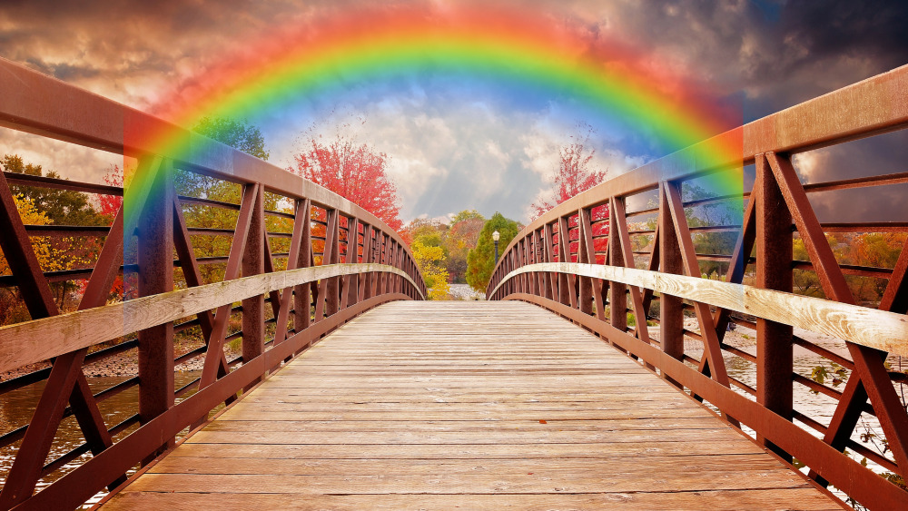 rainbow bridge ferret urn